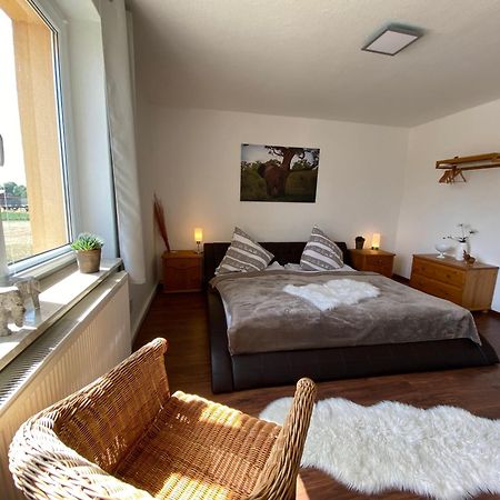 Gelbes Haus Seenland Ferienwohnungen Xl Elsterheide Dış mekan fotoğraf