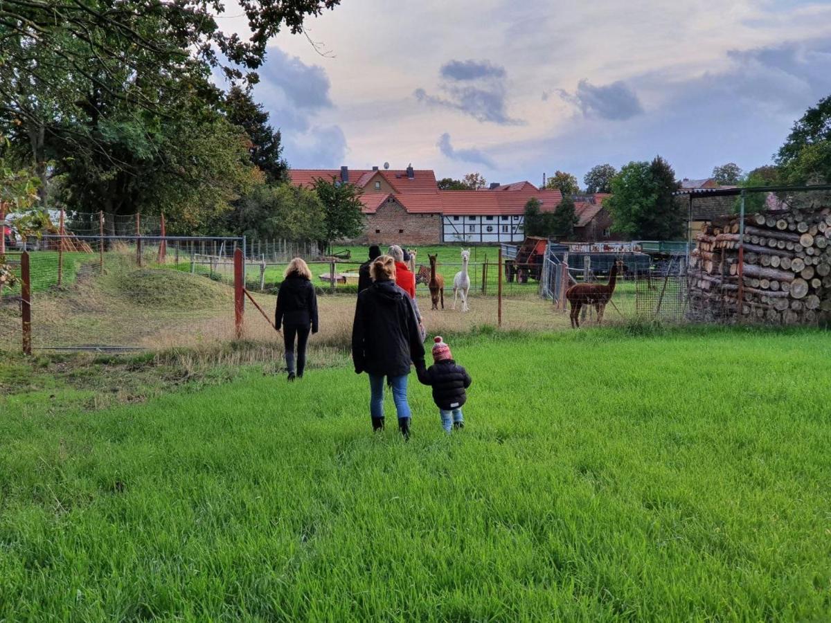 Gelbes Haus Seenland Ferienwohnungen Xl Elsterheide Dış mekan fotoğraf