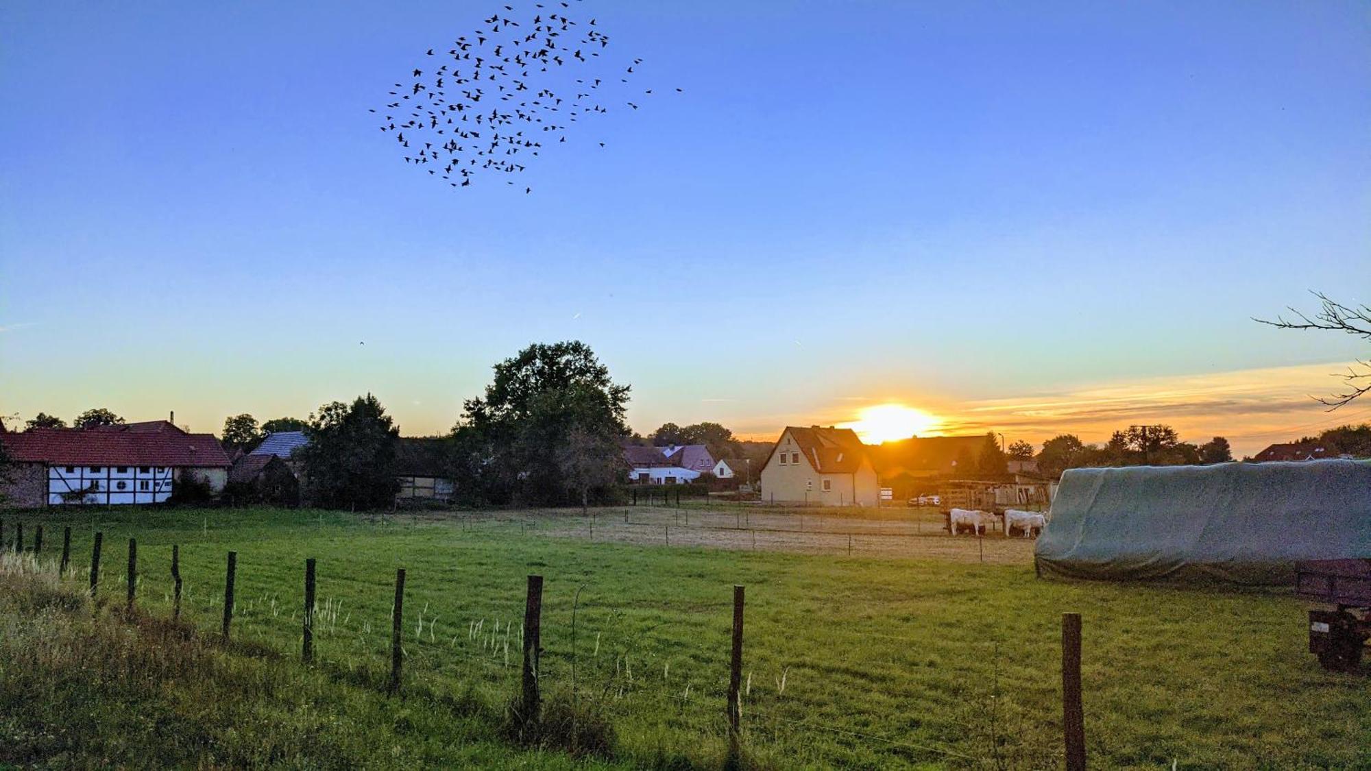 Gelbes Haus Seenland Ferienwohnungen Xl Elsterheide Dış mekan fotoğraf